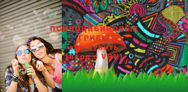 герыч Алексин